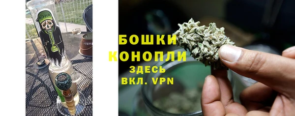 ECSTASY Липки