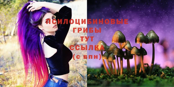 apvp Лихославль