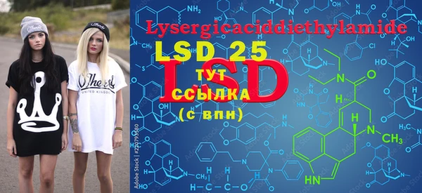 ECSTASY Липки