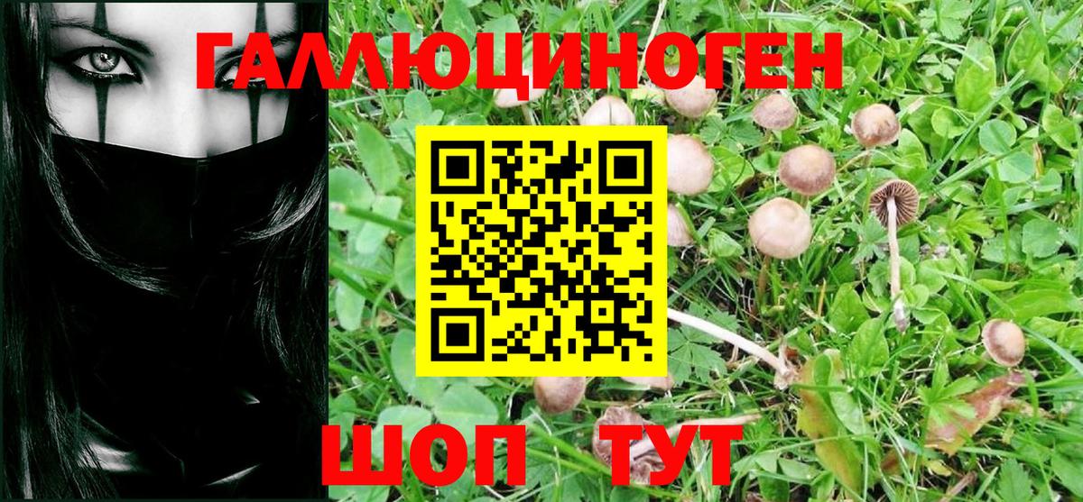 Галлюциногенные грибы MAGIC MUSHROOMS Михайловск