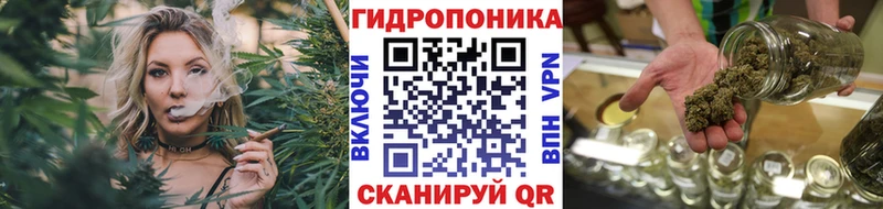 Каннабис индика  купить наркотик  Михайловск 