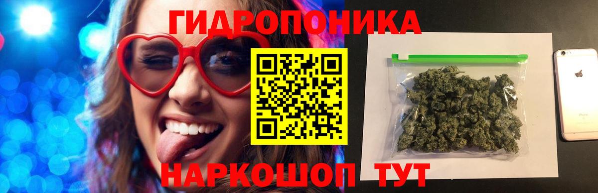 Бошки марихуана гибрид  Вход с VPN  Канабис LSD WEED  Михайловск  МАРИХУАНА семена 